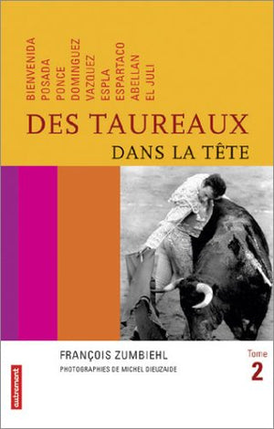 Des taureaux dans la tête, tome 2