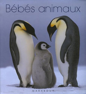 Bébés animaux