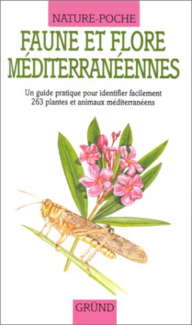 Faune et flore méditerranéennes