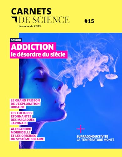 Addiction, le désordre du siècle