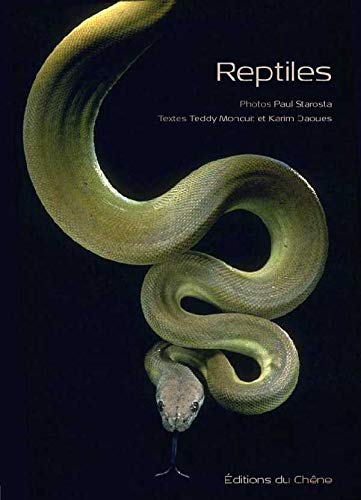 Reptiles : Écailles et sang-froid