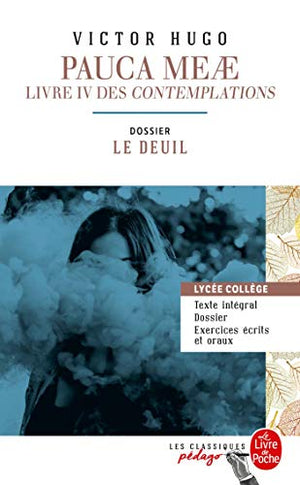 Pauca Meae (Les Contemplations - Livre IV)