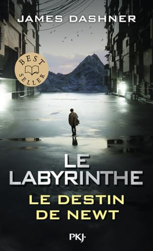 Le labyrinthe