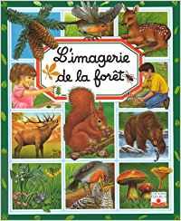 L'imagerie de la forêt