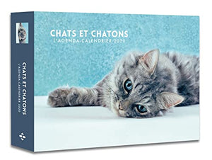 L'agenda-calendrier chats et chatons