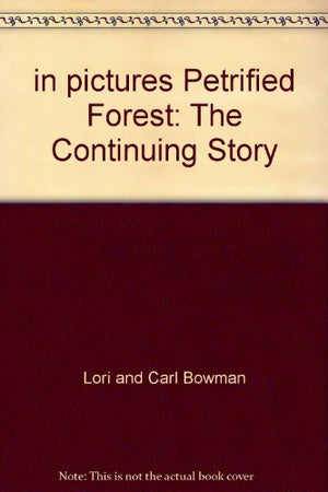 Petrified Forest: The Continuing Story