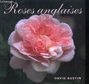 Roses anglaises