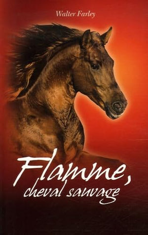 Flamme, cheval sauvage