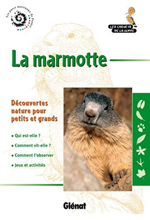 La marmotte