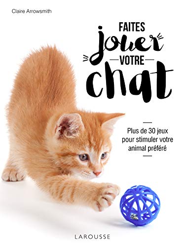 Faîtes jouer votre chat !