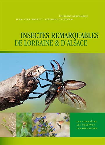 Les insectes remarquables de Lorraine et d'Alsace