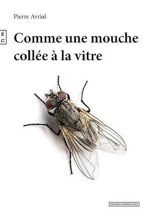 Comme une mouche collée à la vitre