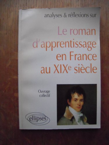 Le roman d'apprentissage en France XIXe siècle