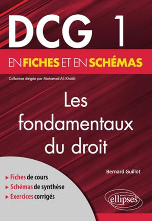 Les fondamentaux du droit en fiches et en schémas