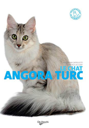 Le chat angora turc