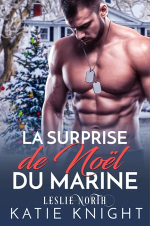 La surprise de Noël du Marine