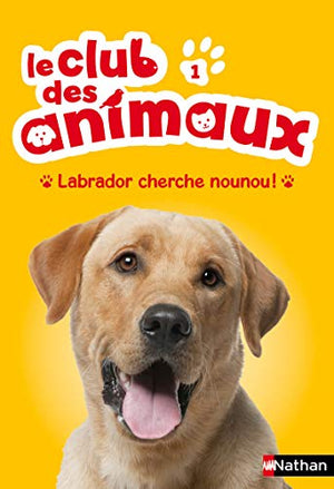 Le club des animaux : Labrador cherche Nounou !