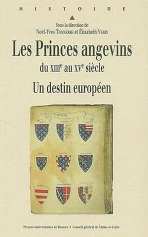 Princes angevins