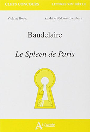 Baudelaire, le spleen de Paris