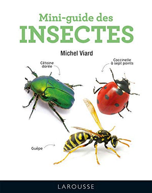 Mini-guide des insectes