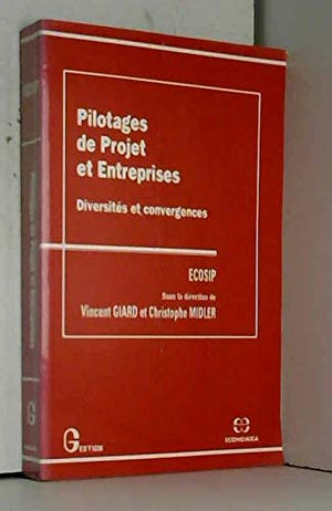 Pilotages de projet et entreprises