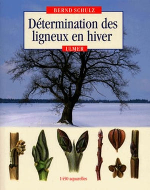 La détermination des ligneux en hiver