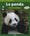 Le panda: Fou de bambous