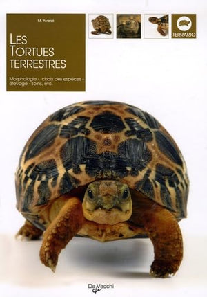 Les tortues terrestres