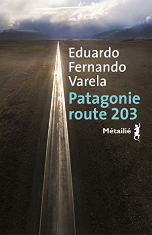 Patagonie route 203