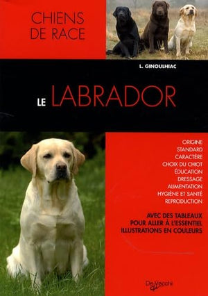 Le labrador