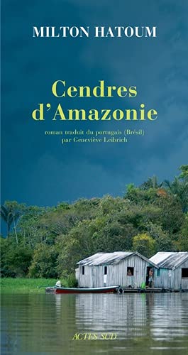 Cendres d'Amazonie