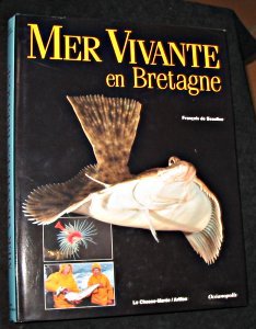 Mer vivante en Bretagne