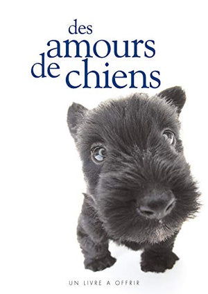 Amours de chiens