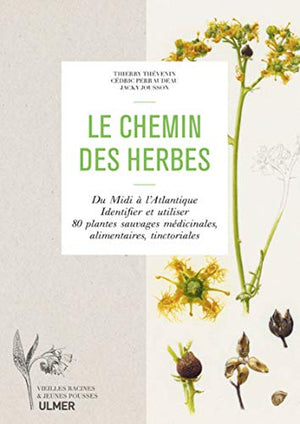 Le chemin des herbes - Du Midi à l'atlantique: Identifier 80 plantes médicinale, alimentaires, tinctoriales