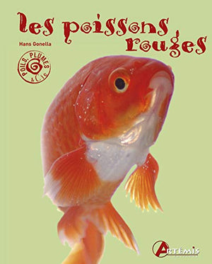 Les poissons rouges