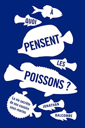 À quoi pensent les poissons