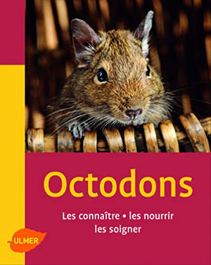 Les Octodons. Les connaître, les nourrir, les soigner