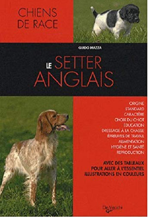 Le setter anglais