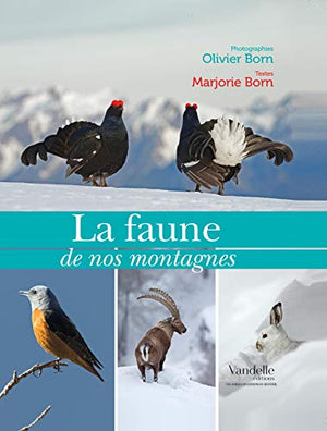 La faune de nos montagnes