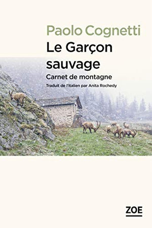 Le garçon sauvage