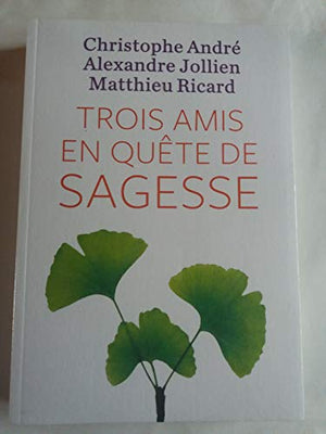 Trois amis en quête de sagesse