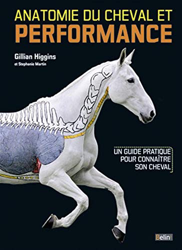 Anatomie du cheval et performance