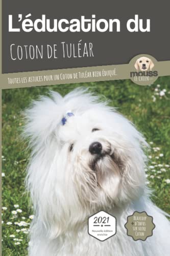 L'éducation du Coton de Tuléar