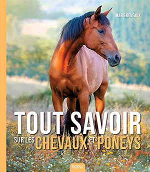 Les chevaux et poneys