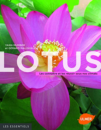 Lotus - Les connaître et les réussir sous nos climats