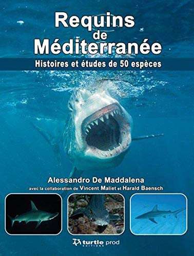 Requins de Méditerranée