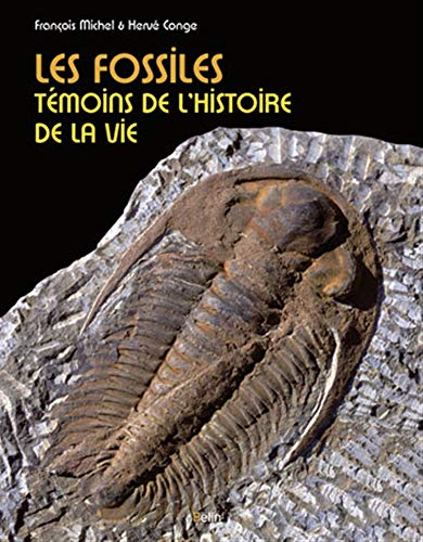Les fossiles: Témoins de l'histoire de la vie
