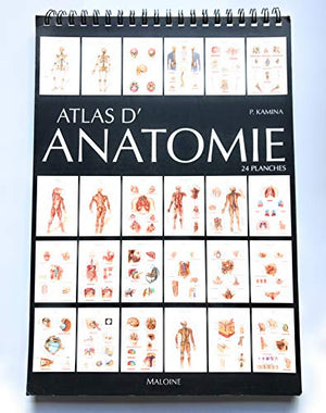 Atlas d'anatomie, 24 planches