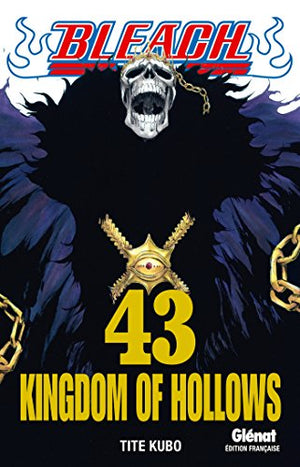 Bleach - Tome 43: Kingdom of hollows