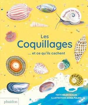 LES COQUILLAGES  ET CE QU'ILS CACHENT